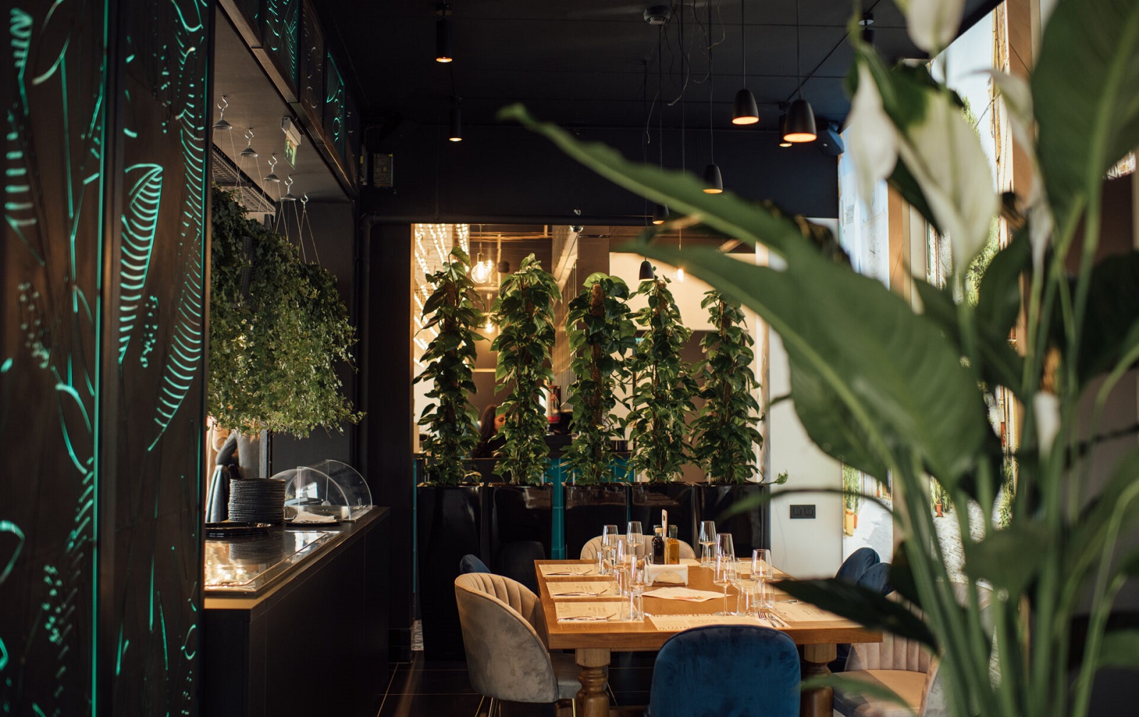 Trattoria by MRS